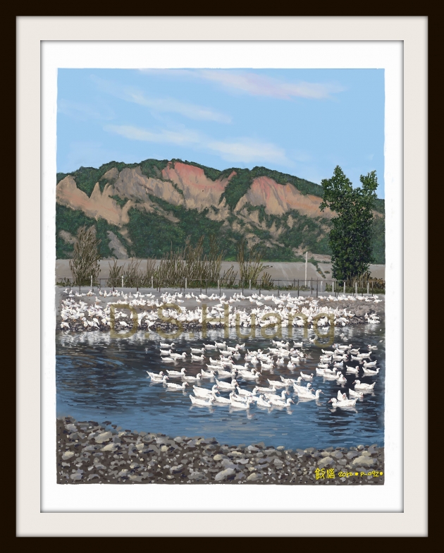 DUCKS IN THE MOUNTAIN SIDE    P-92(2012) 1