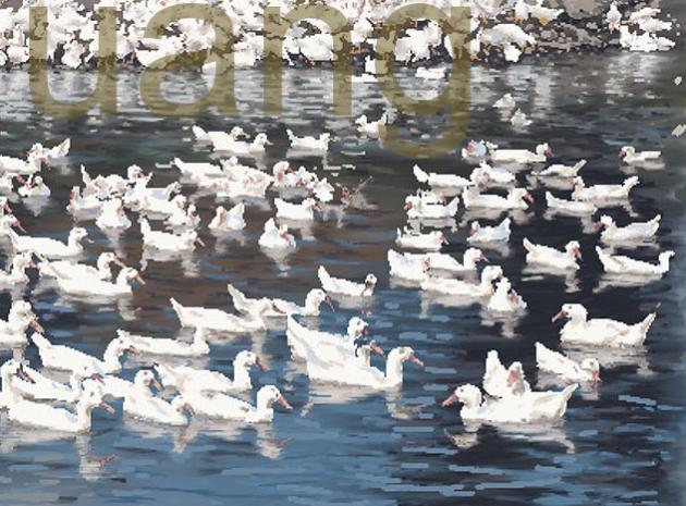 DUCKS IN THE MOUNTAIN SIDE    P-92(2012) 3