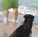THAT SEA,THAT PEOPLE,THAT DOG     P-114(2012)