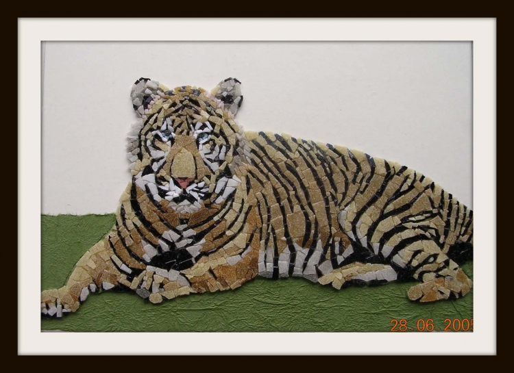 THE  TIGER  -1     (2005  M-71) 1