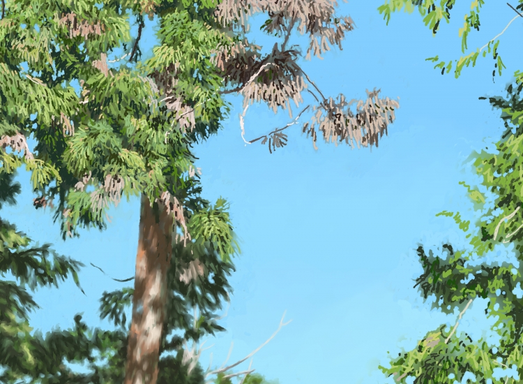 THE SALES DEP IN SIYOU    P-217(2016) 4