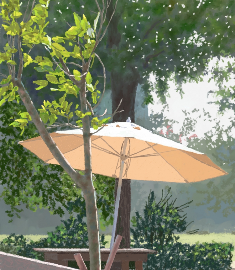 TAKE WALKS  P-227(2016) 2