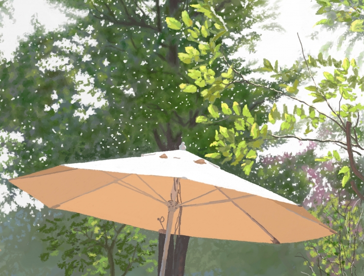 TAKE WALKS  P-227(2016) 3