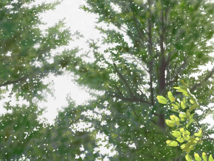 TAKE WALKS  P-227(2016) 5