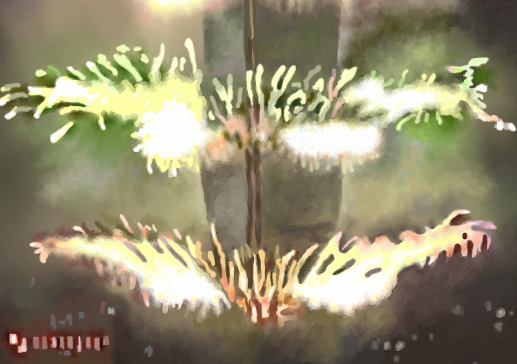 THE 101 FIREWORKS  (101煙火) 4