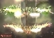 THE 101 FIREWORKS  (101煙火)
