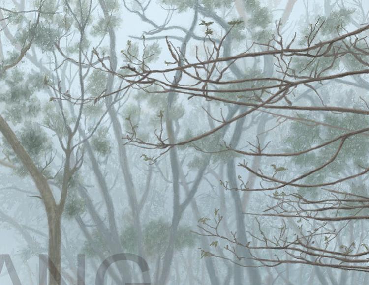 FOG ON THE TEZANG MOUNTAIN-1    P-212(2016) 4