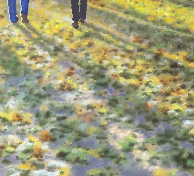 THE BACK  P-95(2012) 3