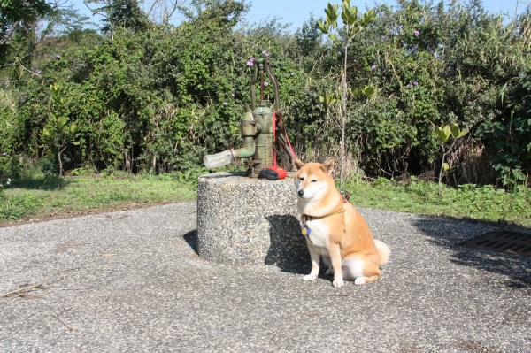 THE CAMPUS OF DA-TON HIGH SCHOOL      2001  A-79